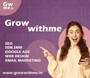 Professional SEO & Social Media Marketing Agency – GrowWithMe
